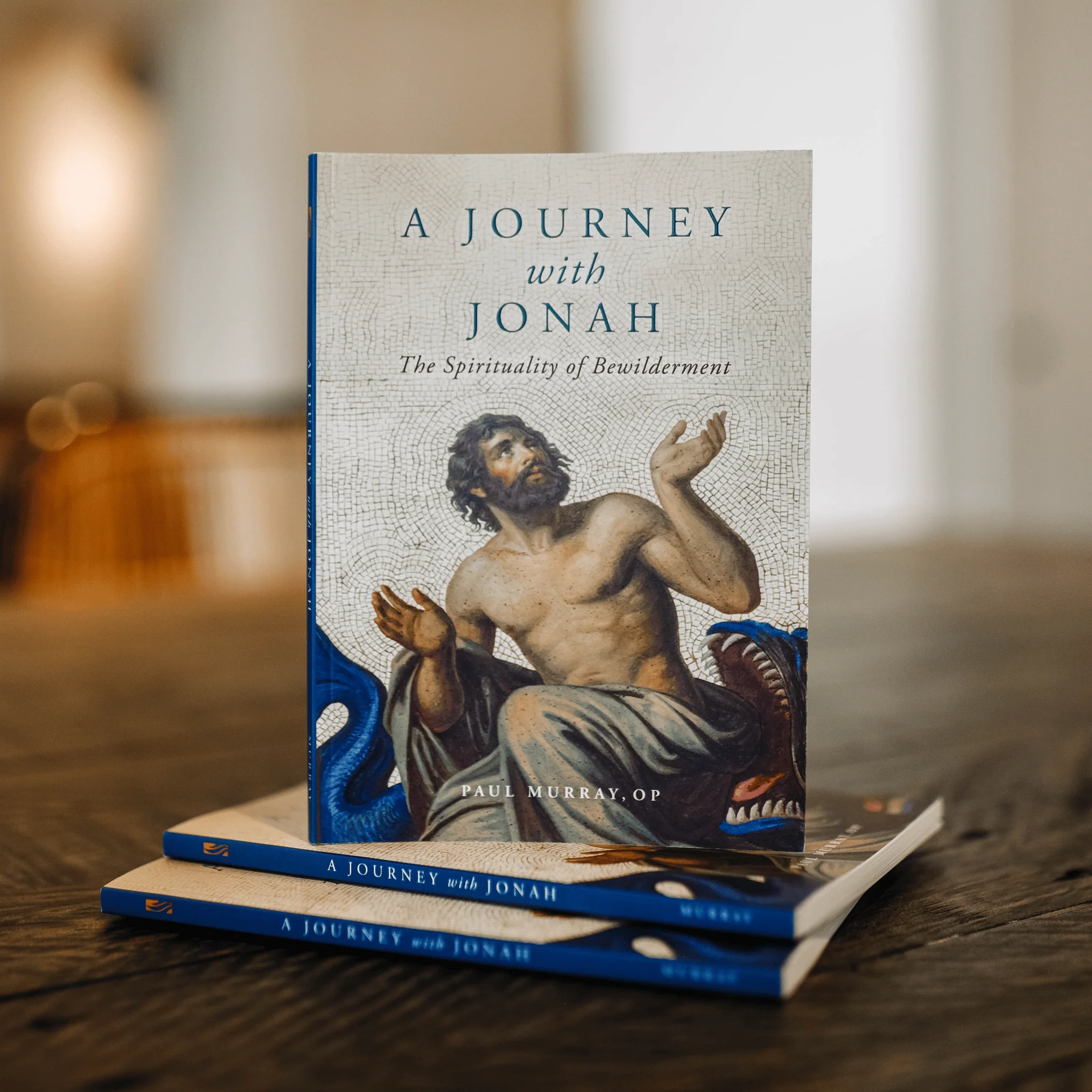 A Journey with Jonah - Image 3