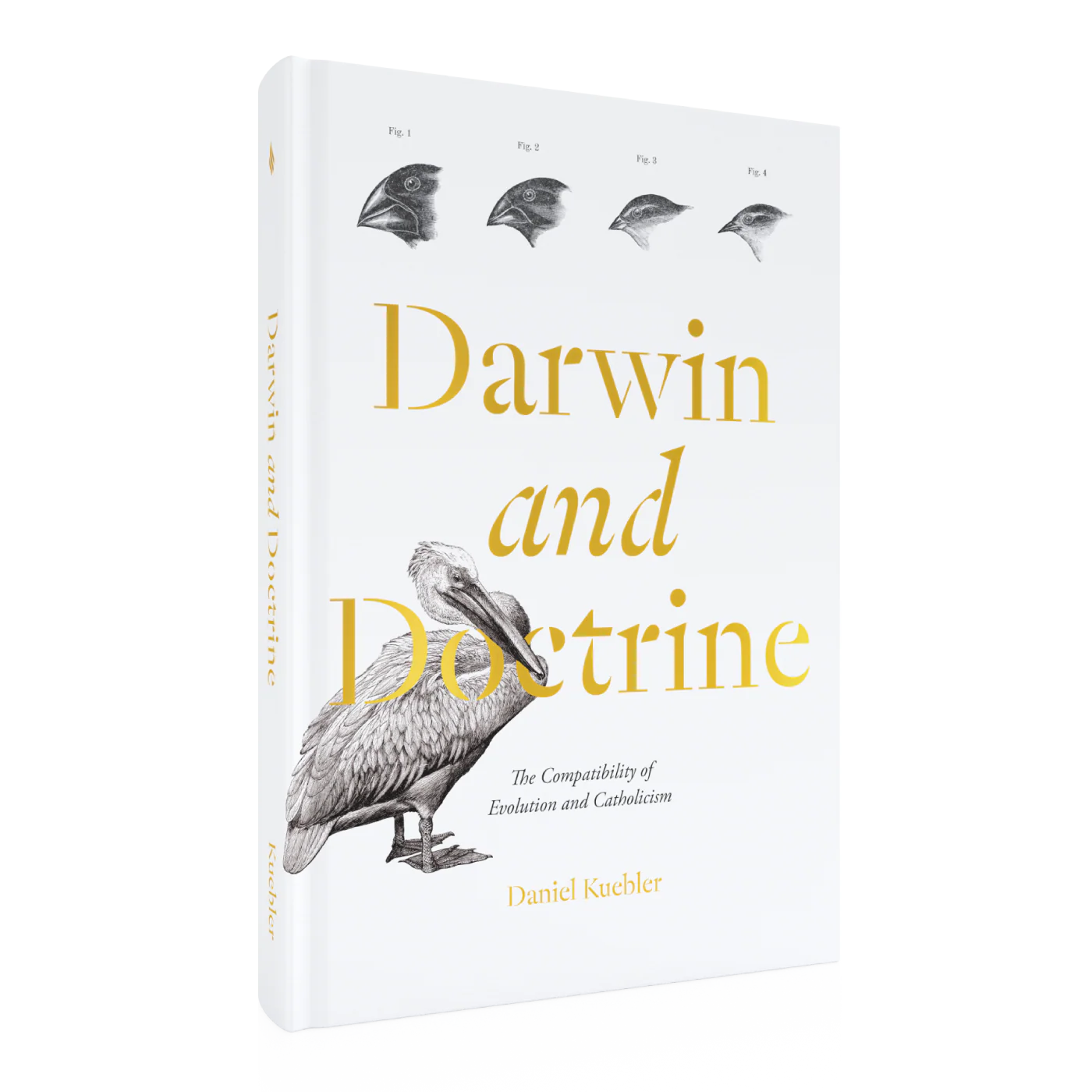 Darwin and Doctrine - Image 2