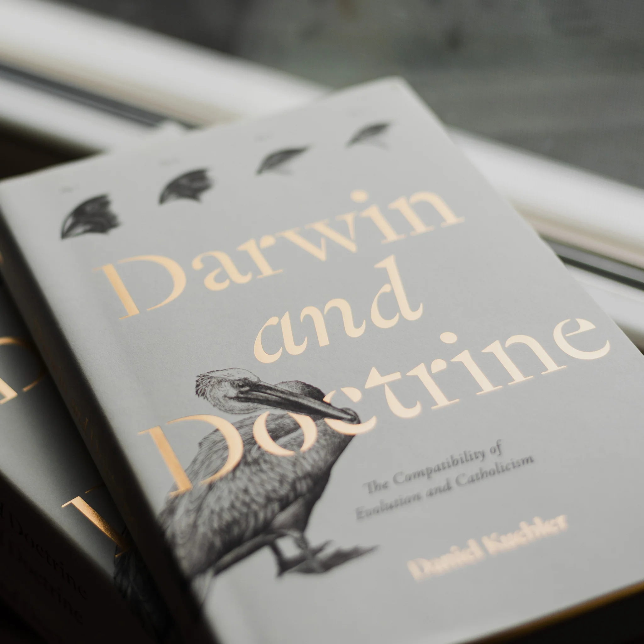 Darwin and Doctrine - Image 4