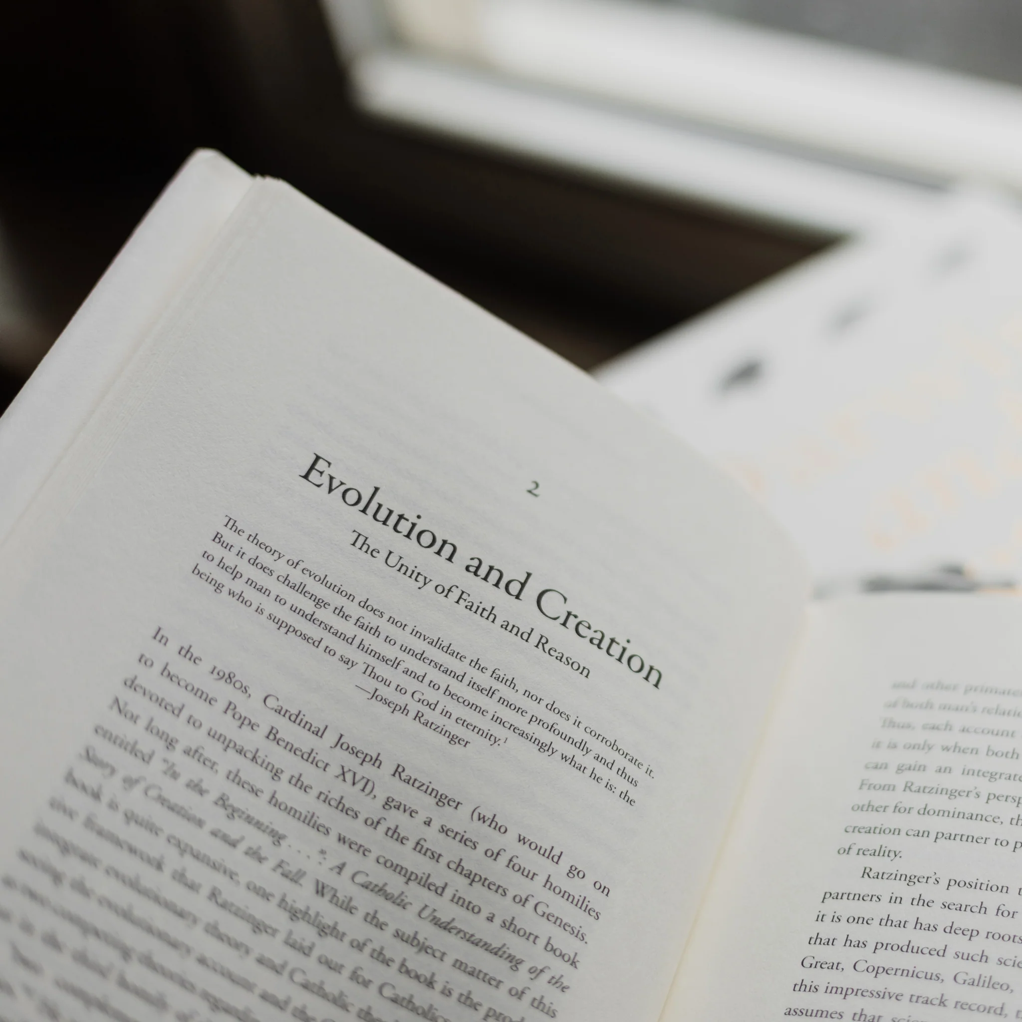 Darwin and Doctrine - Image 5