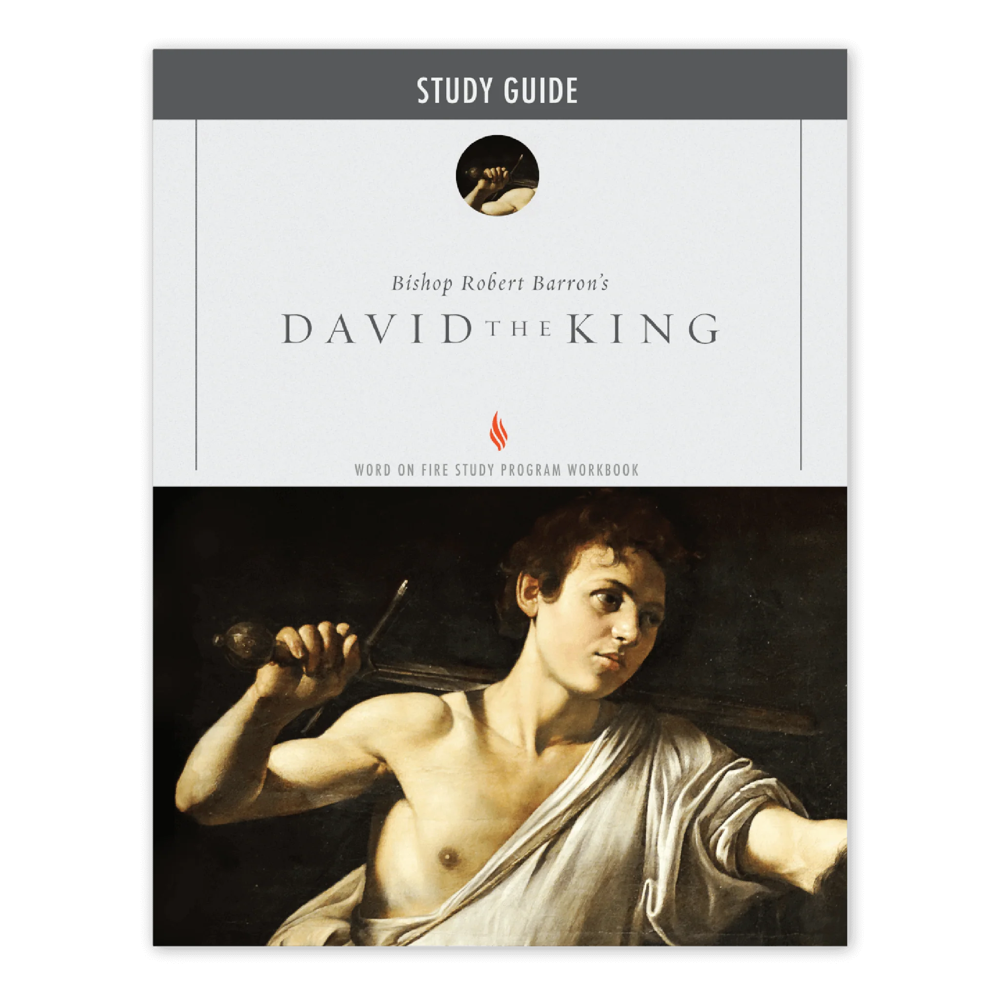David the King Study Guide
