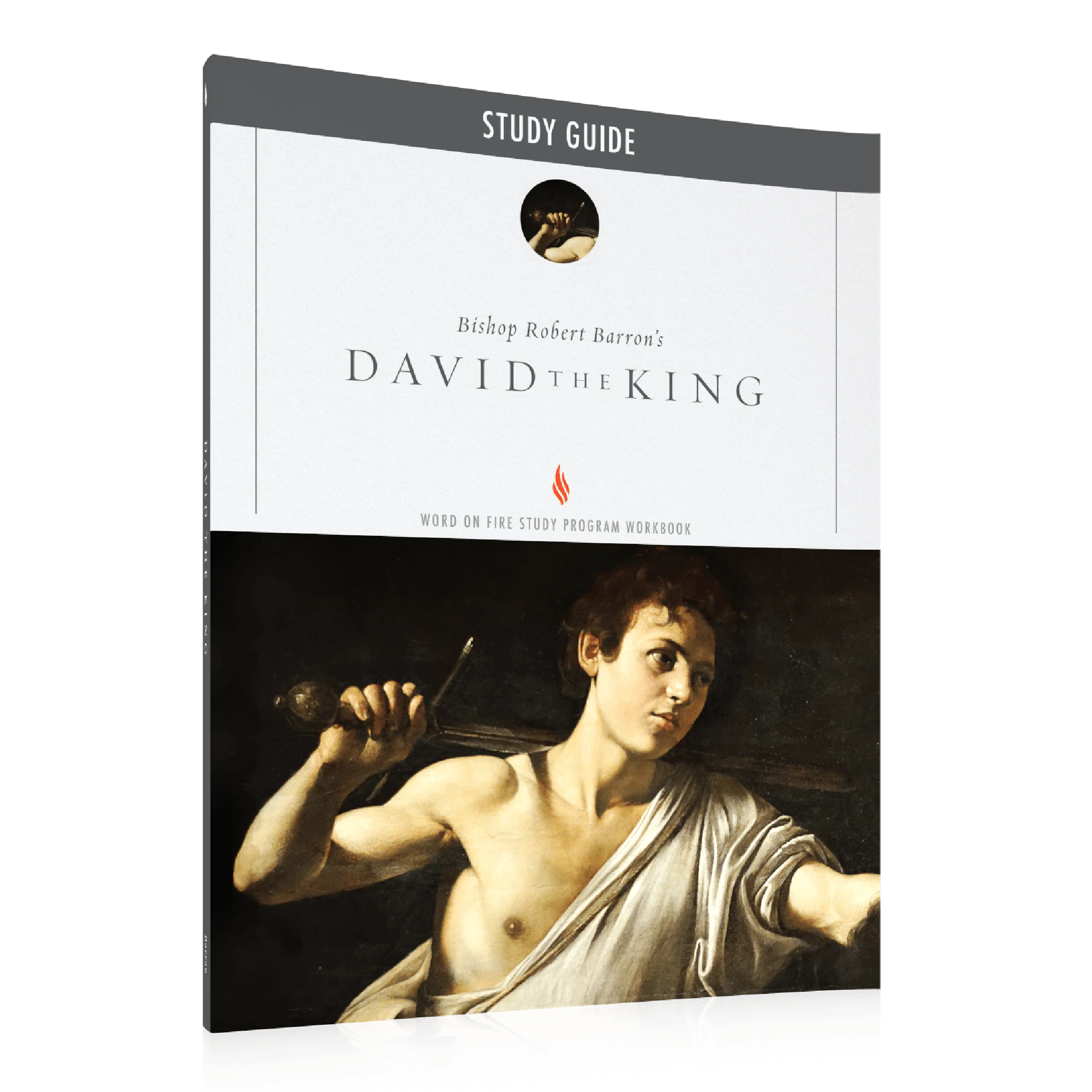 David the King Study Guide - Image 2