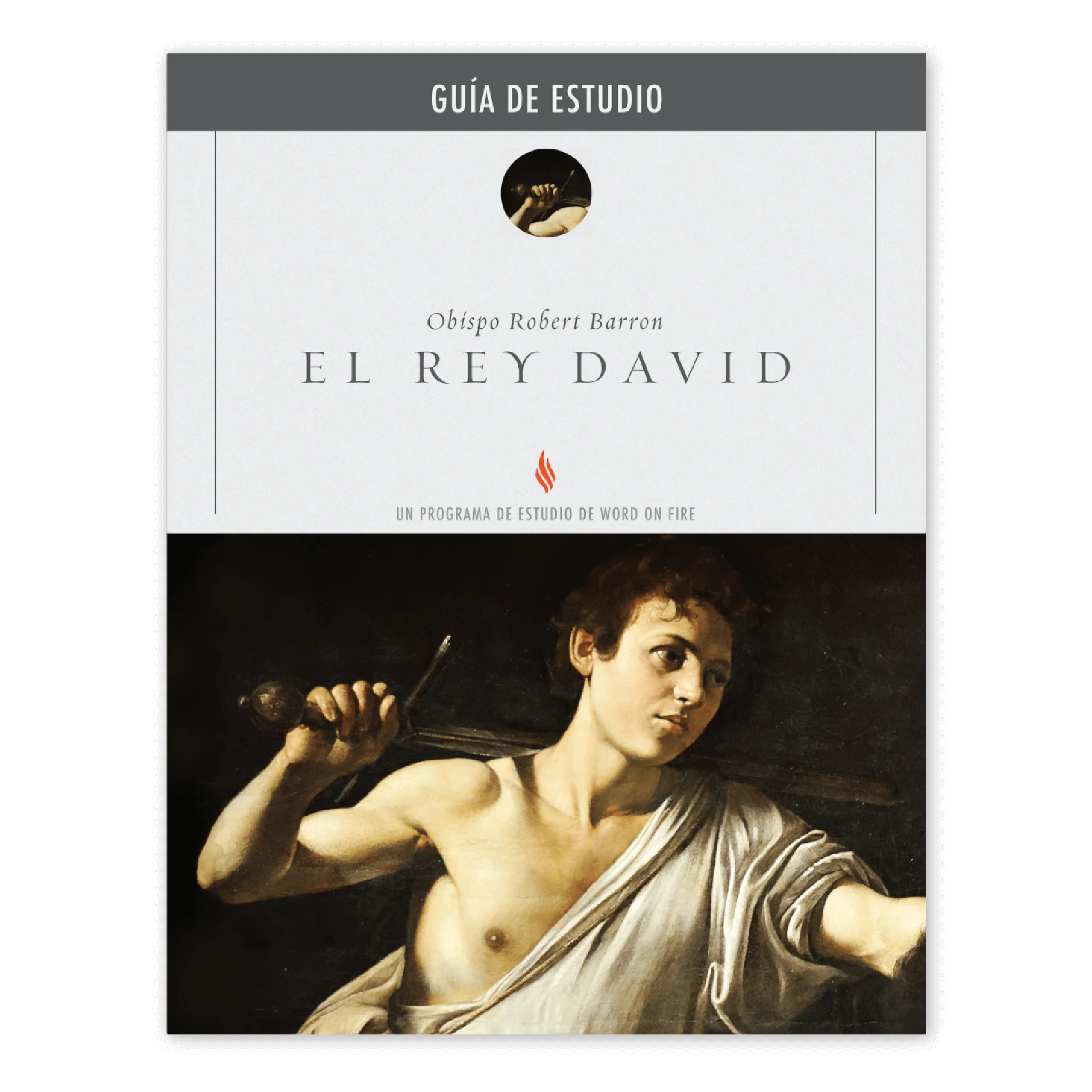 El Rey David Guía de Estudio