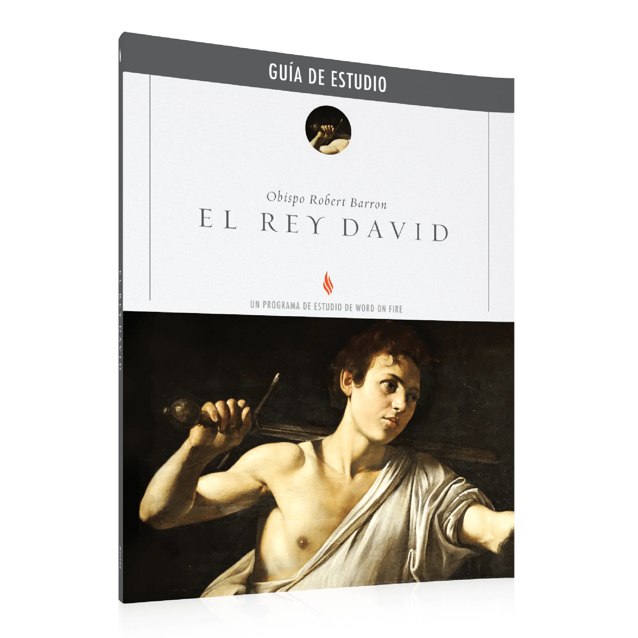 El Rey David Guía de Estudio - Image 2