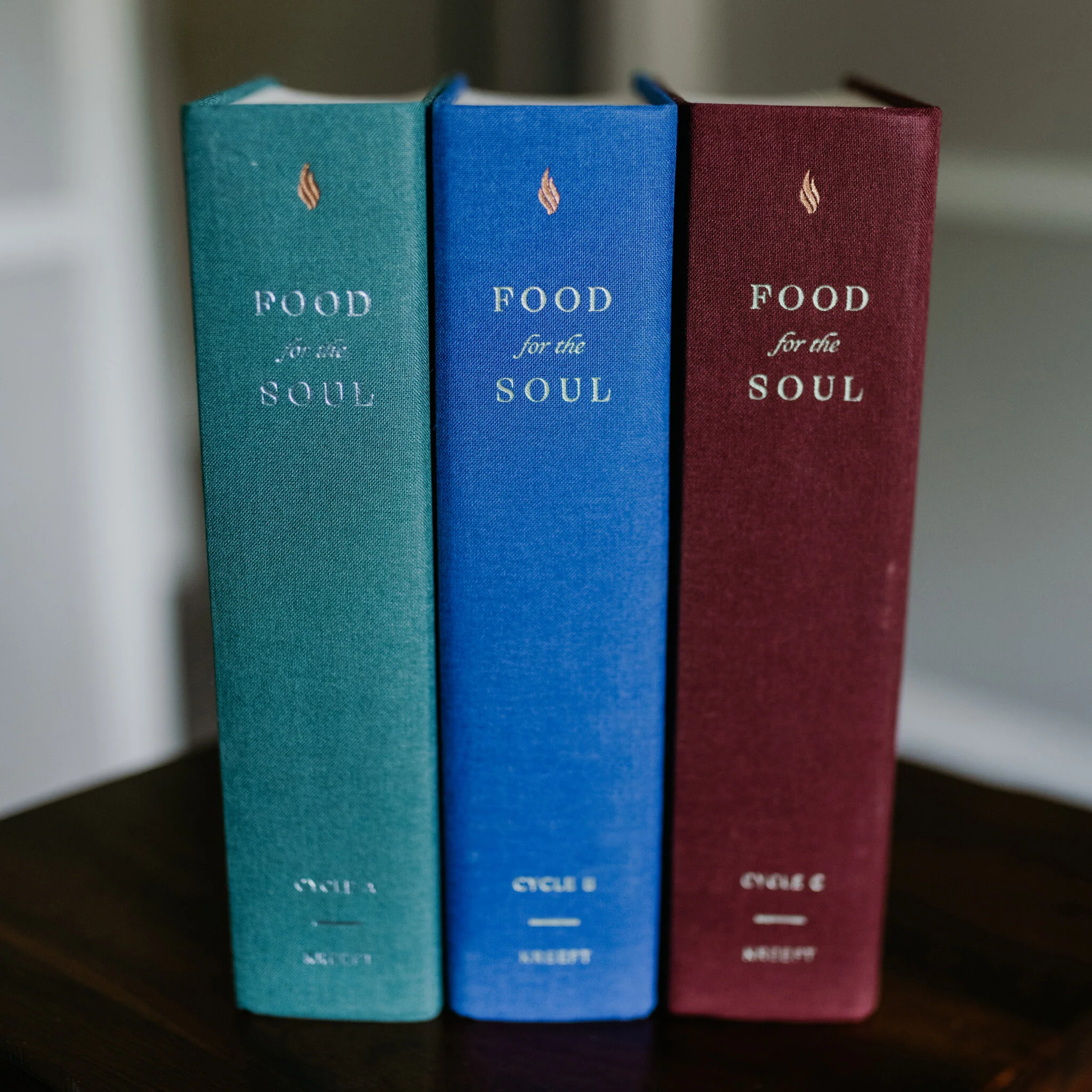 Food for the Soul Set (Cycles A, B, & C) - Image 7