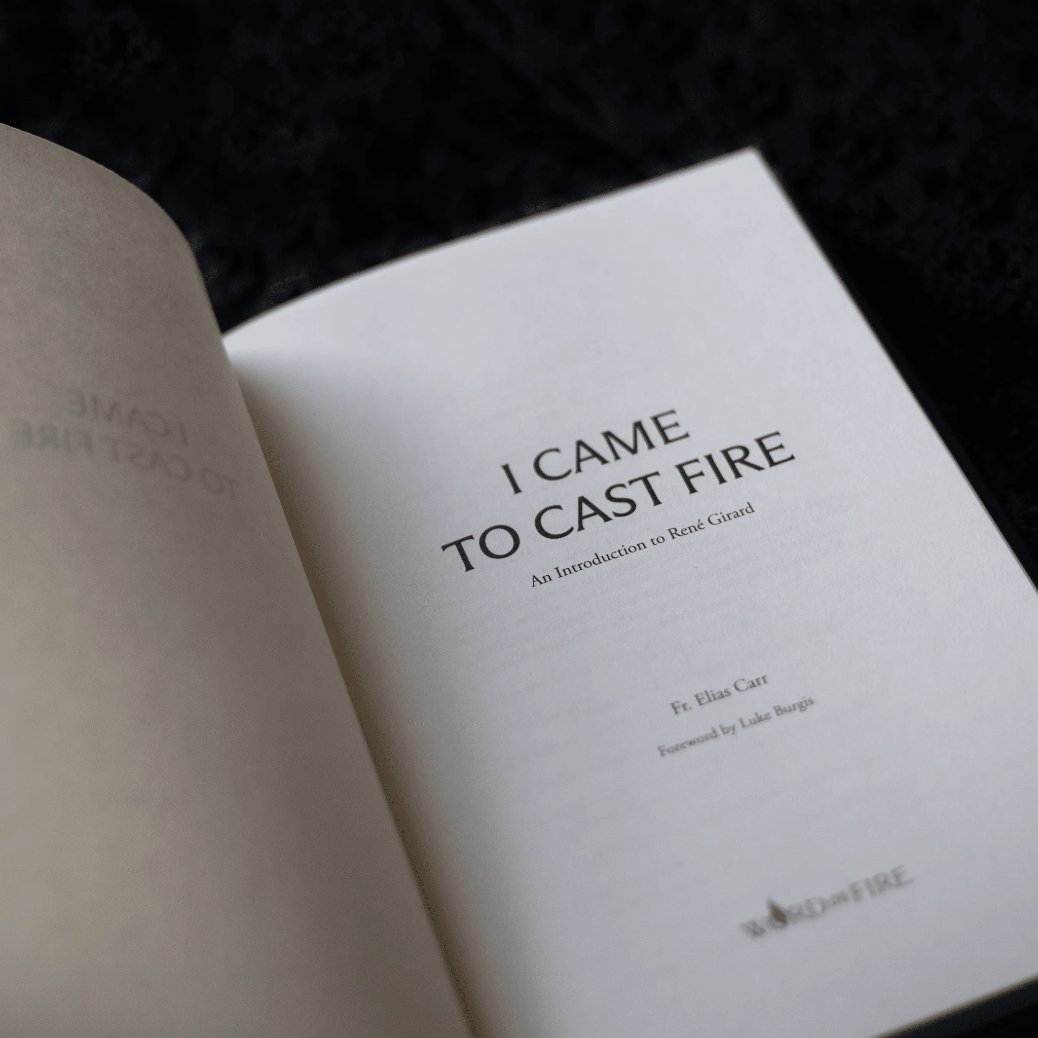 I Came to Cast Fire - Image 4