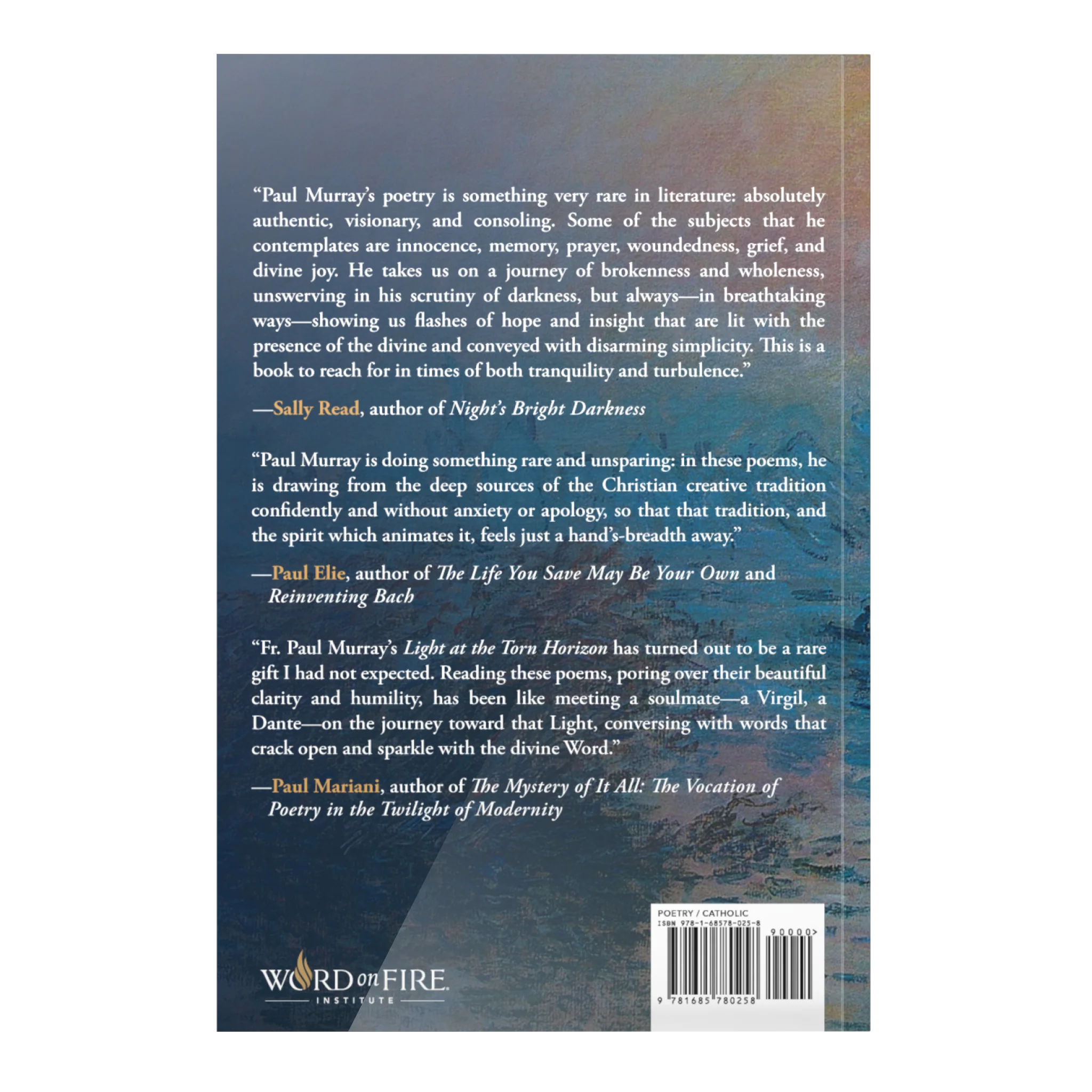 Light at the Torn Horizon - Image 5