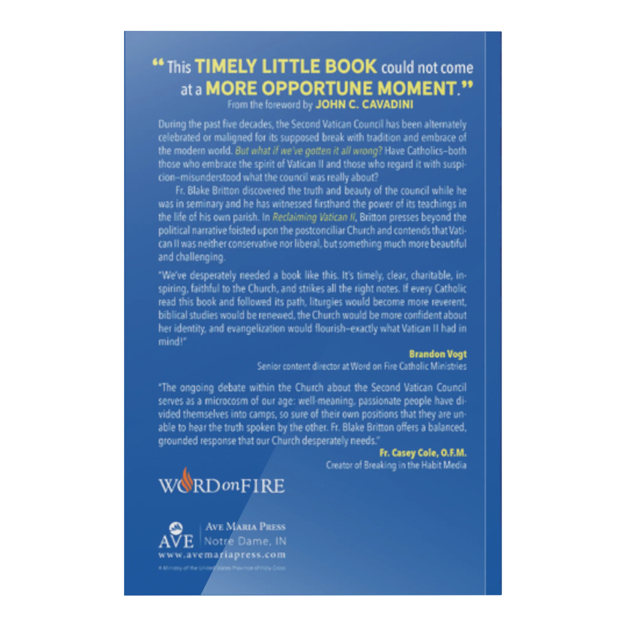 Reclaiming Vatican II - Image 3
