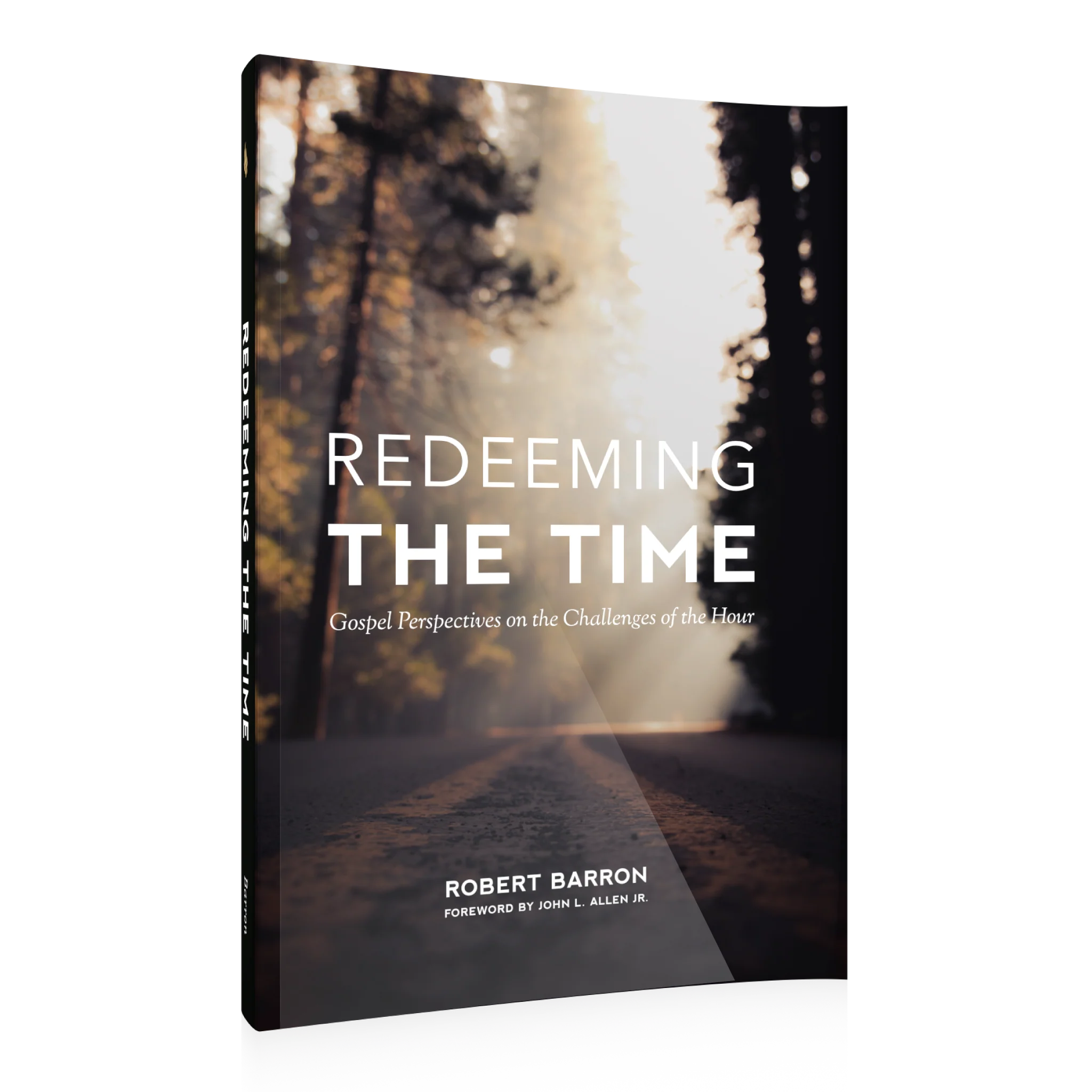 Redeeming the Time - Image 2