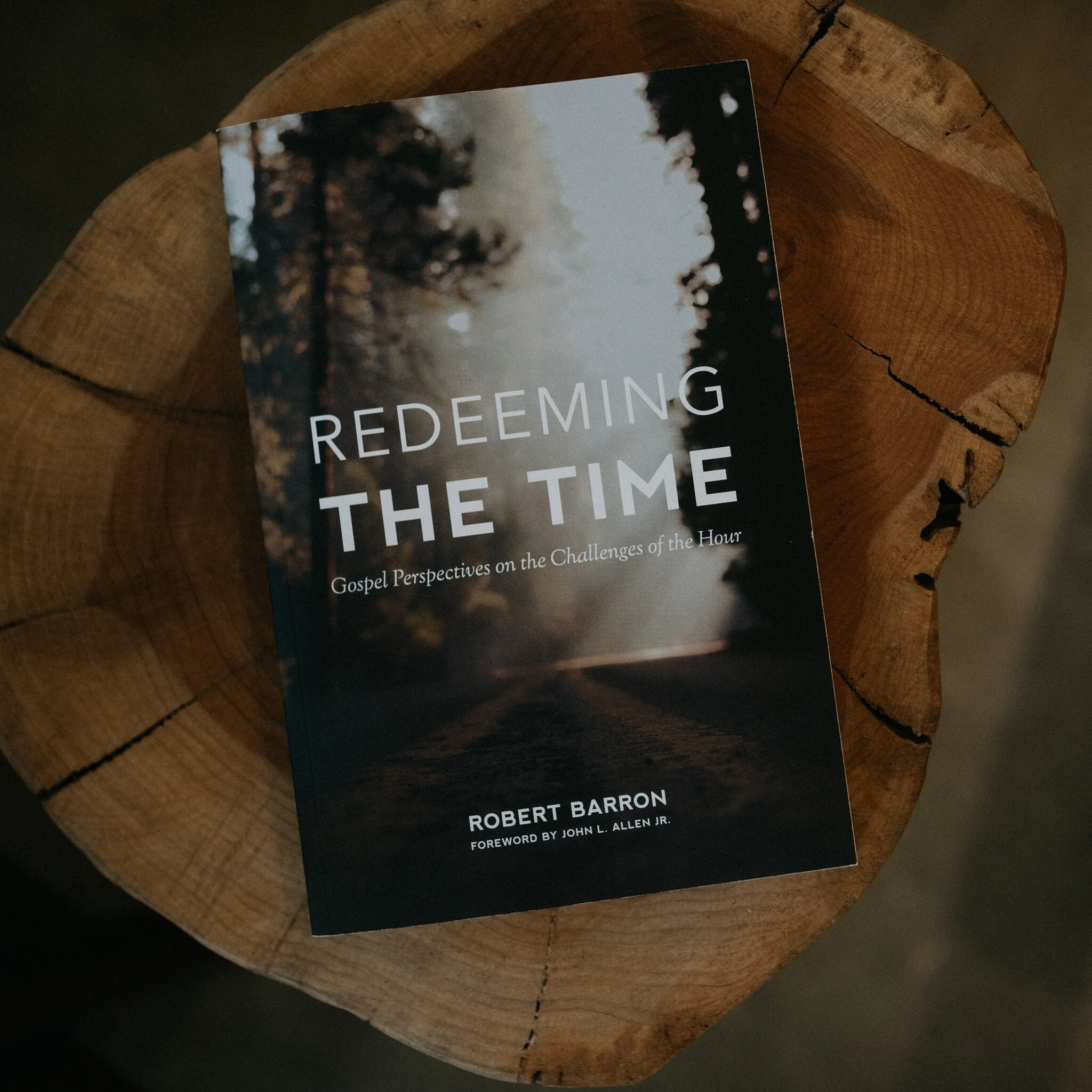 Redeeming the Time - Image 3