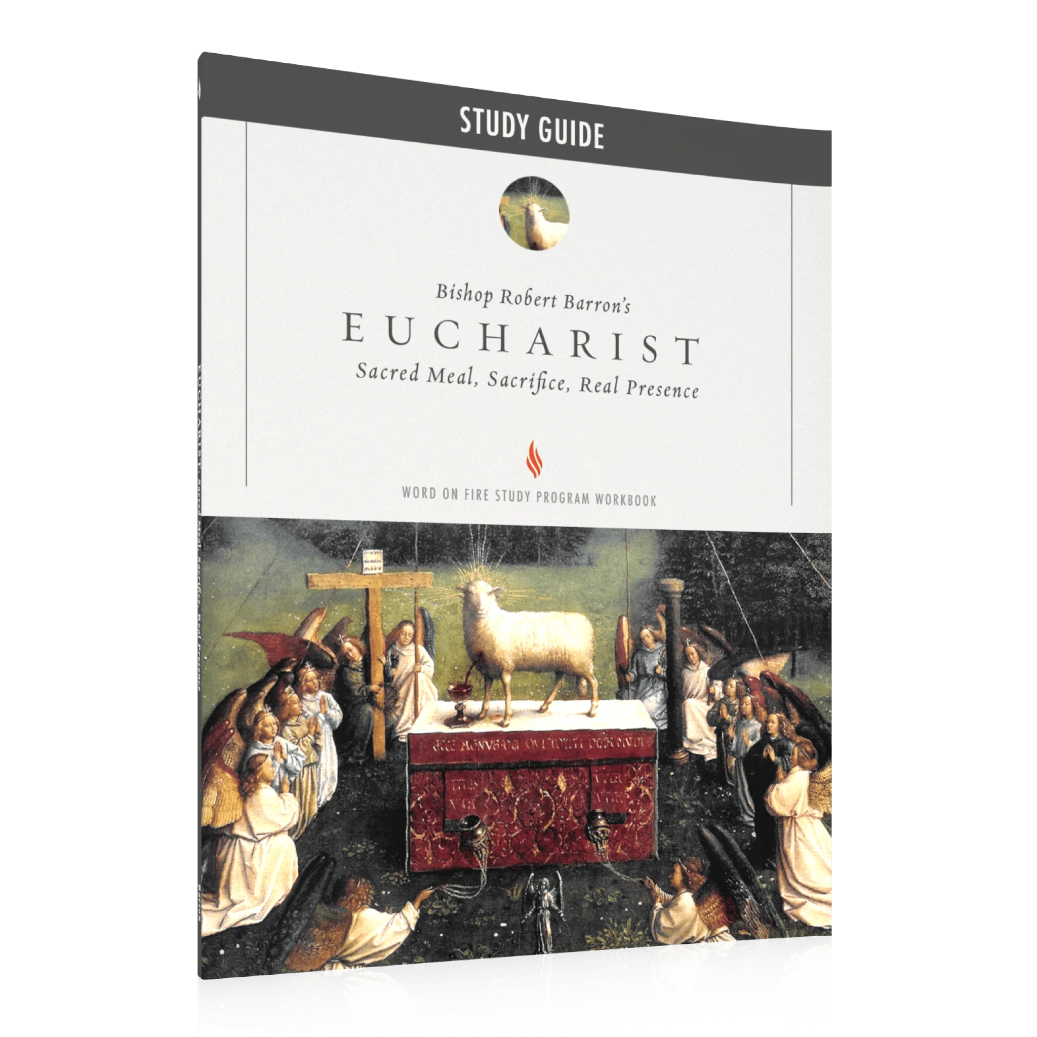 Eucharist Study Guide - Image 2