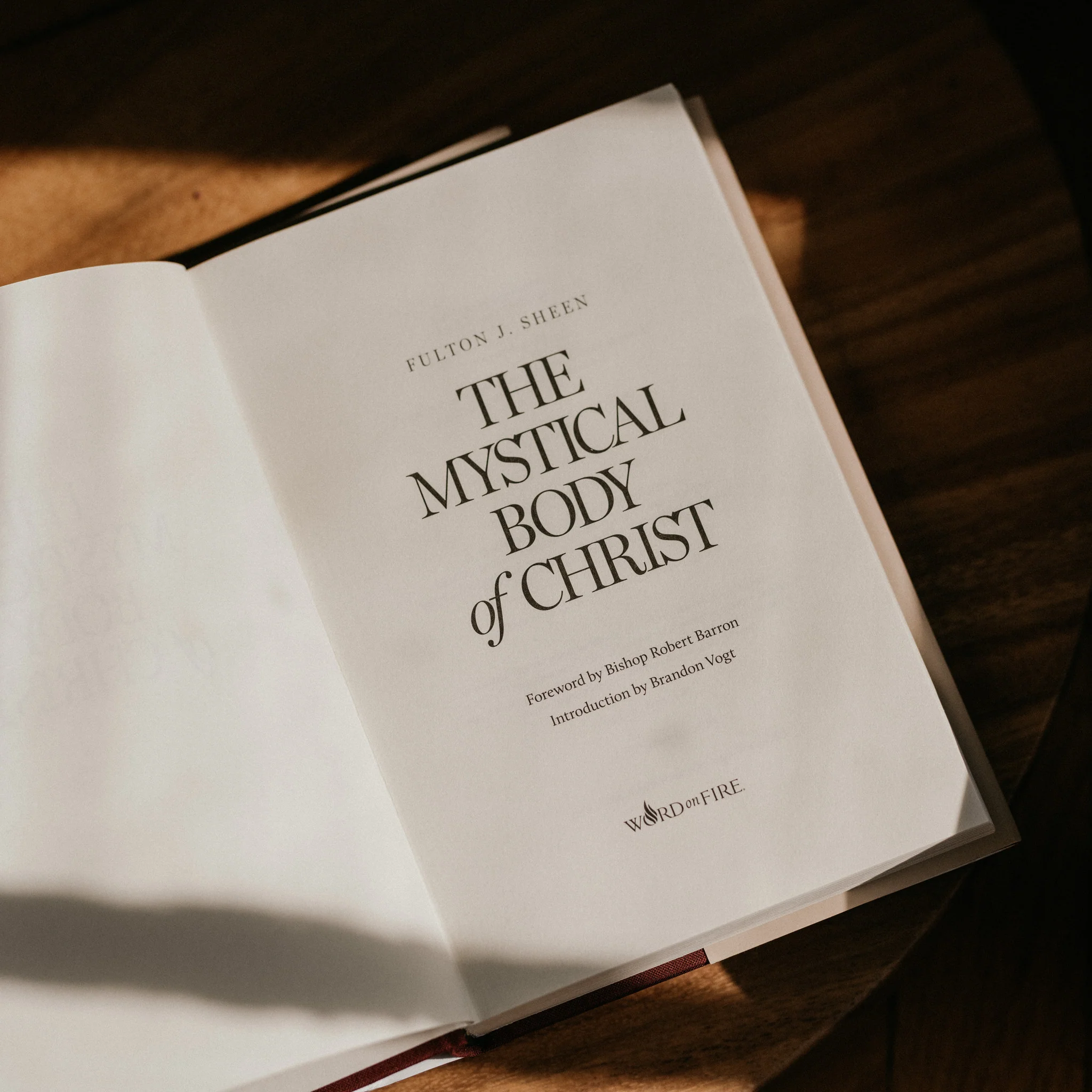 The Mystical Body of Christ - Image 4