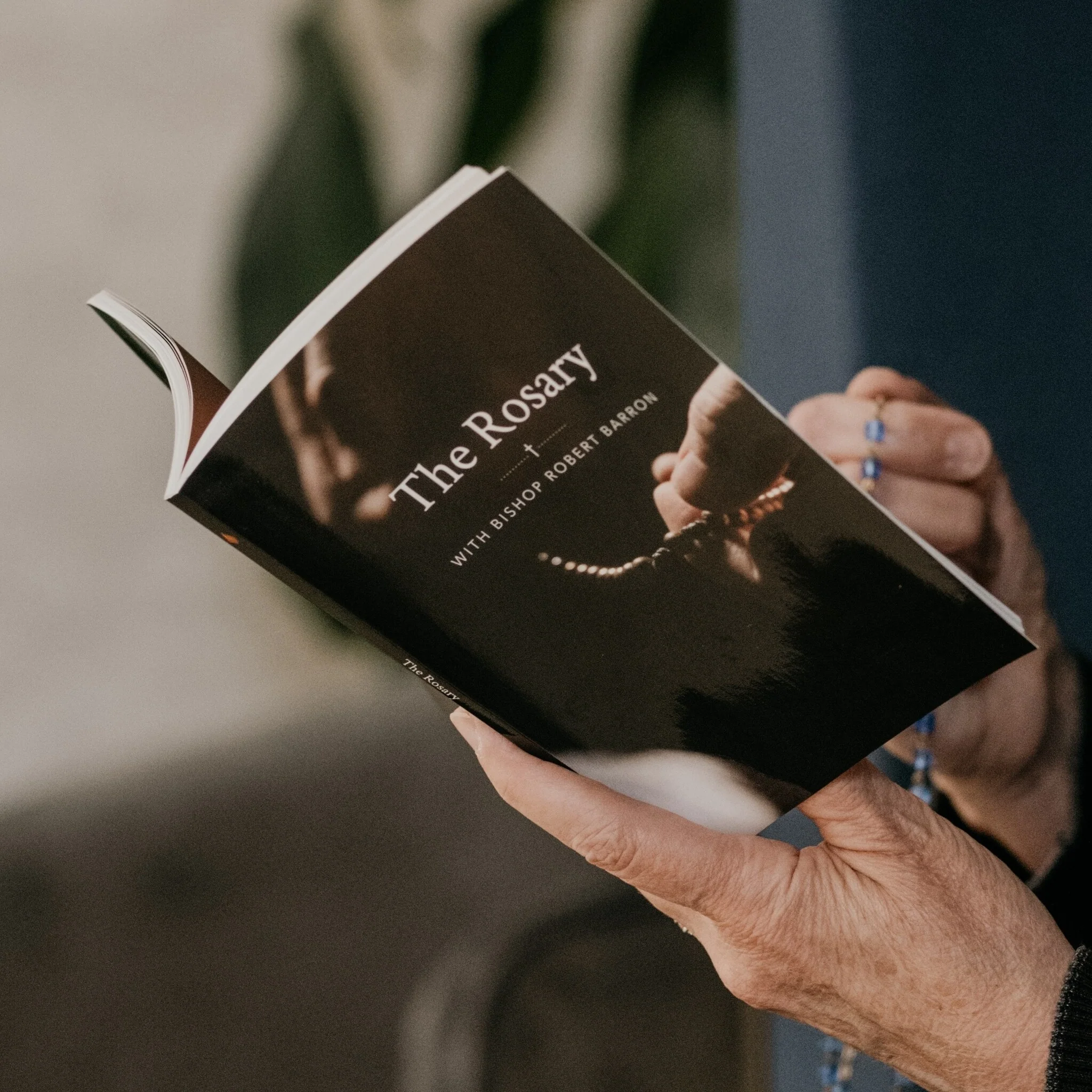 The Word on Fire Rosary + Book Bundle - Image 4