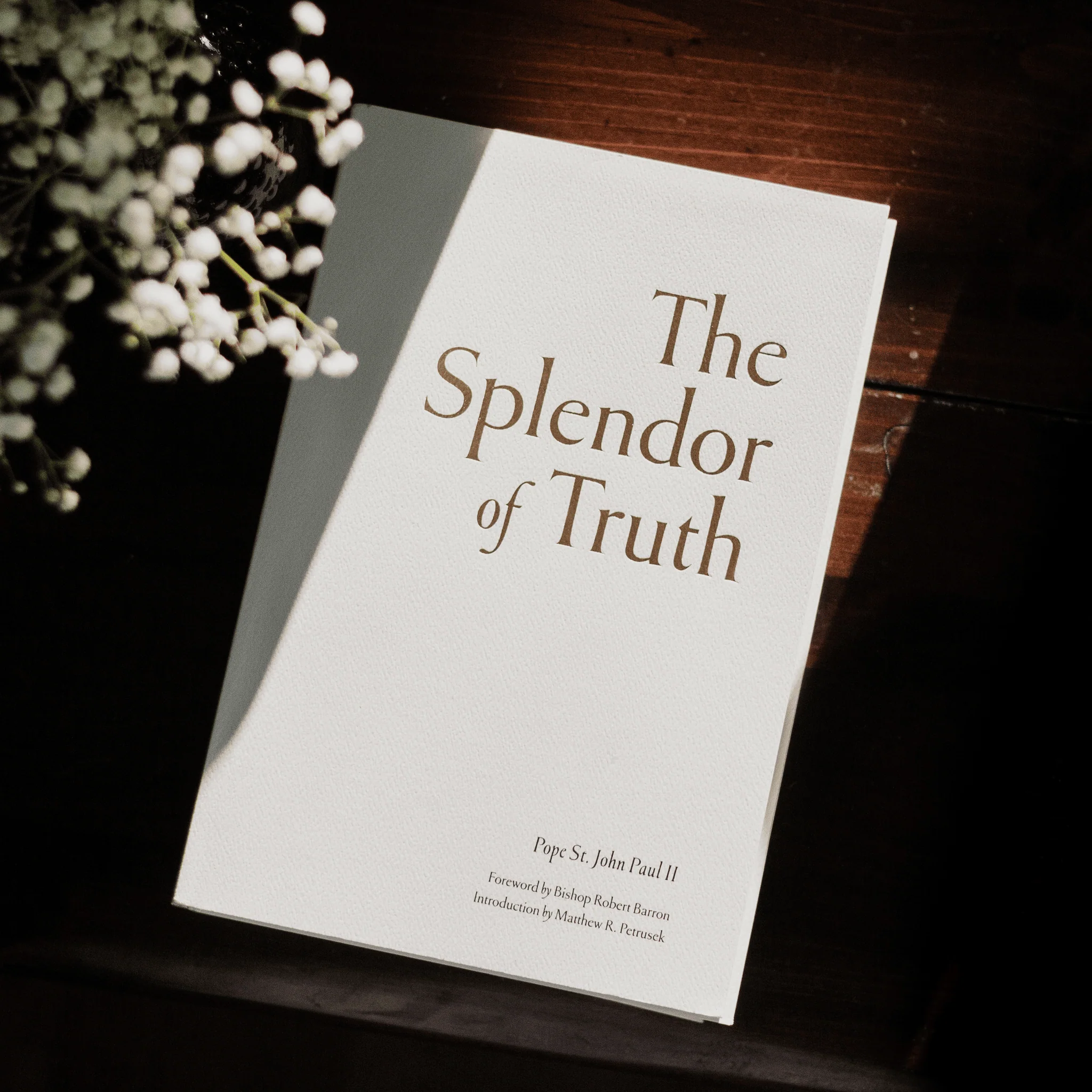 The Splendor of Truth - Image 3