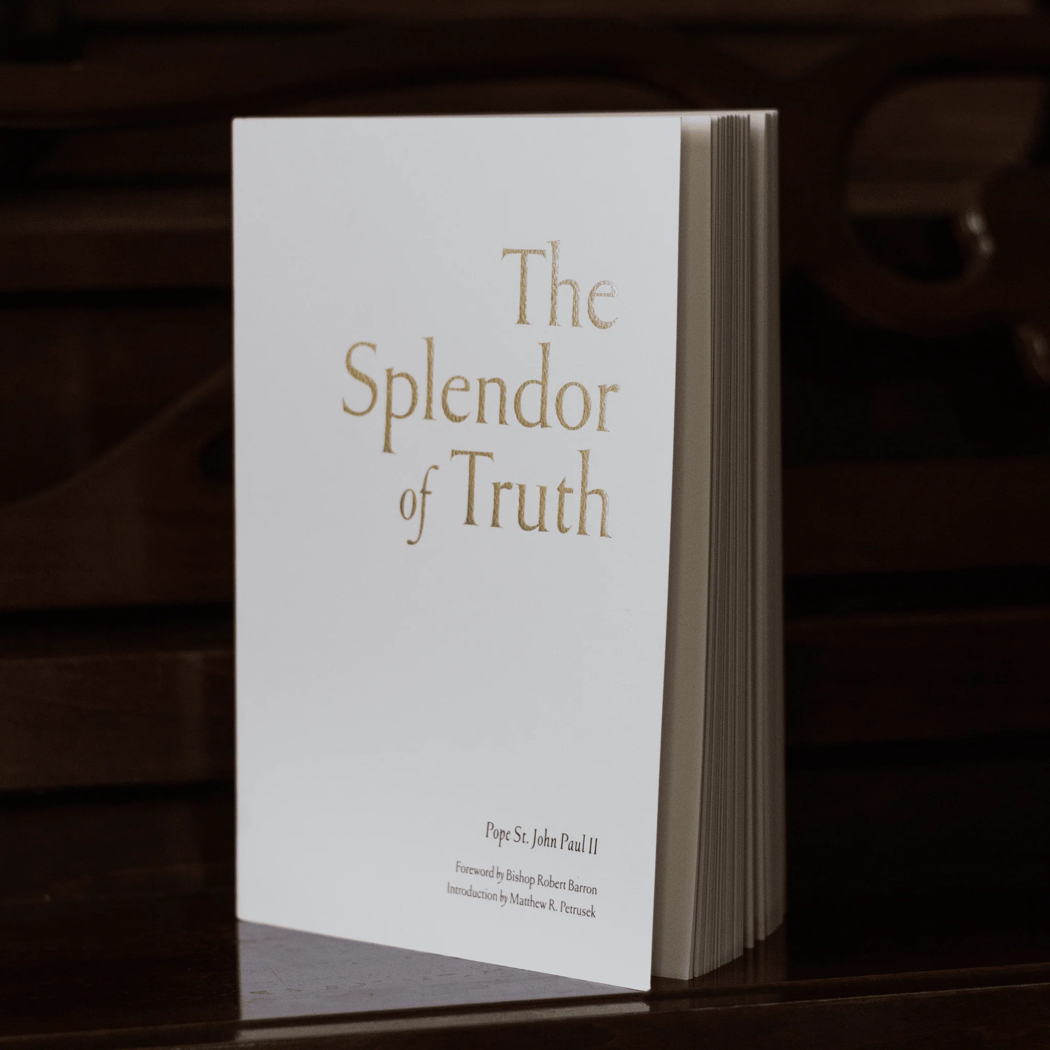 The Splendor of Truth - Image 4