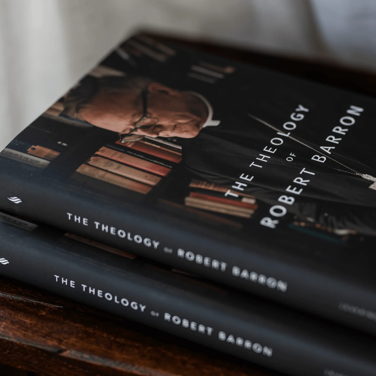 The Theology of Robert Barron - Image 4