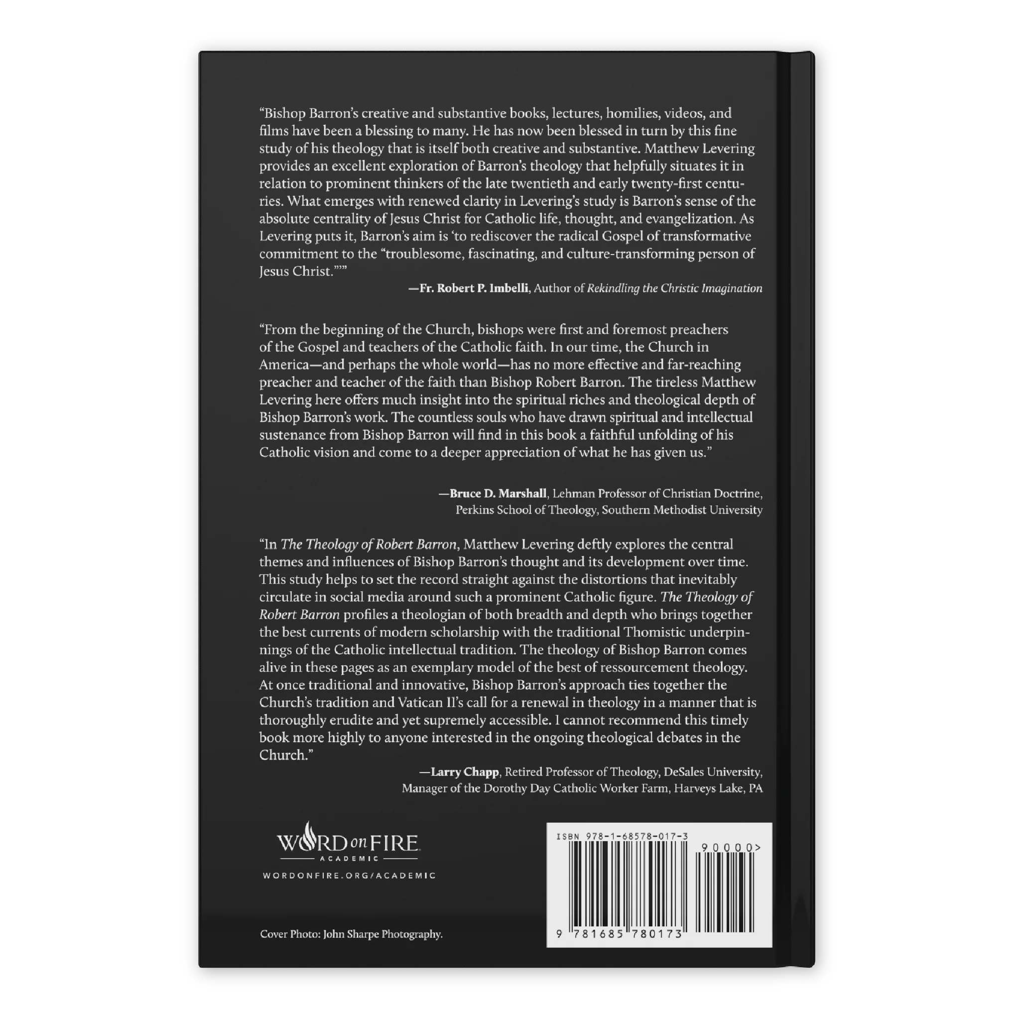 The Theology of Robert Barron - Image 6