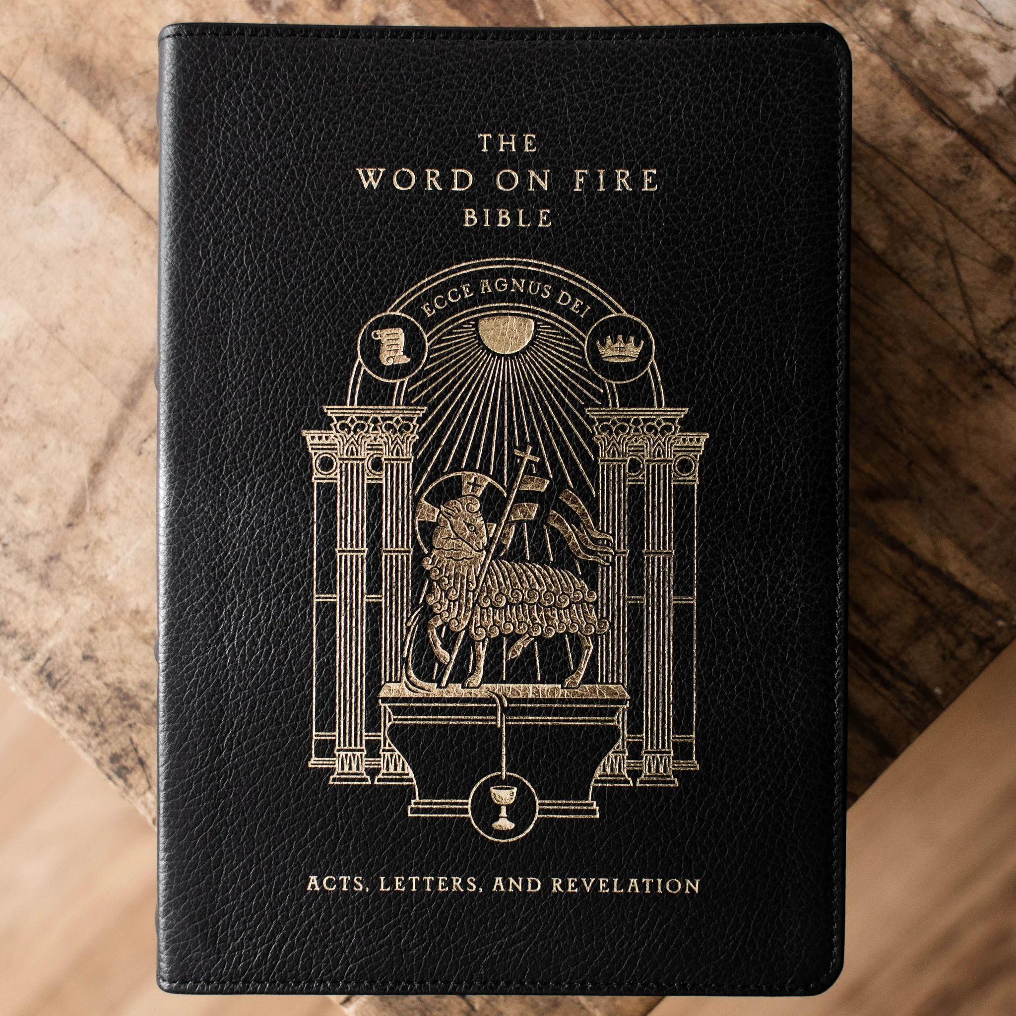 The Word on Fire Bible (Volume II): Acts, Letters and Revelation - Image 3