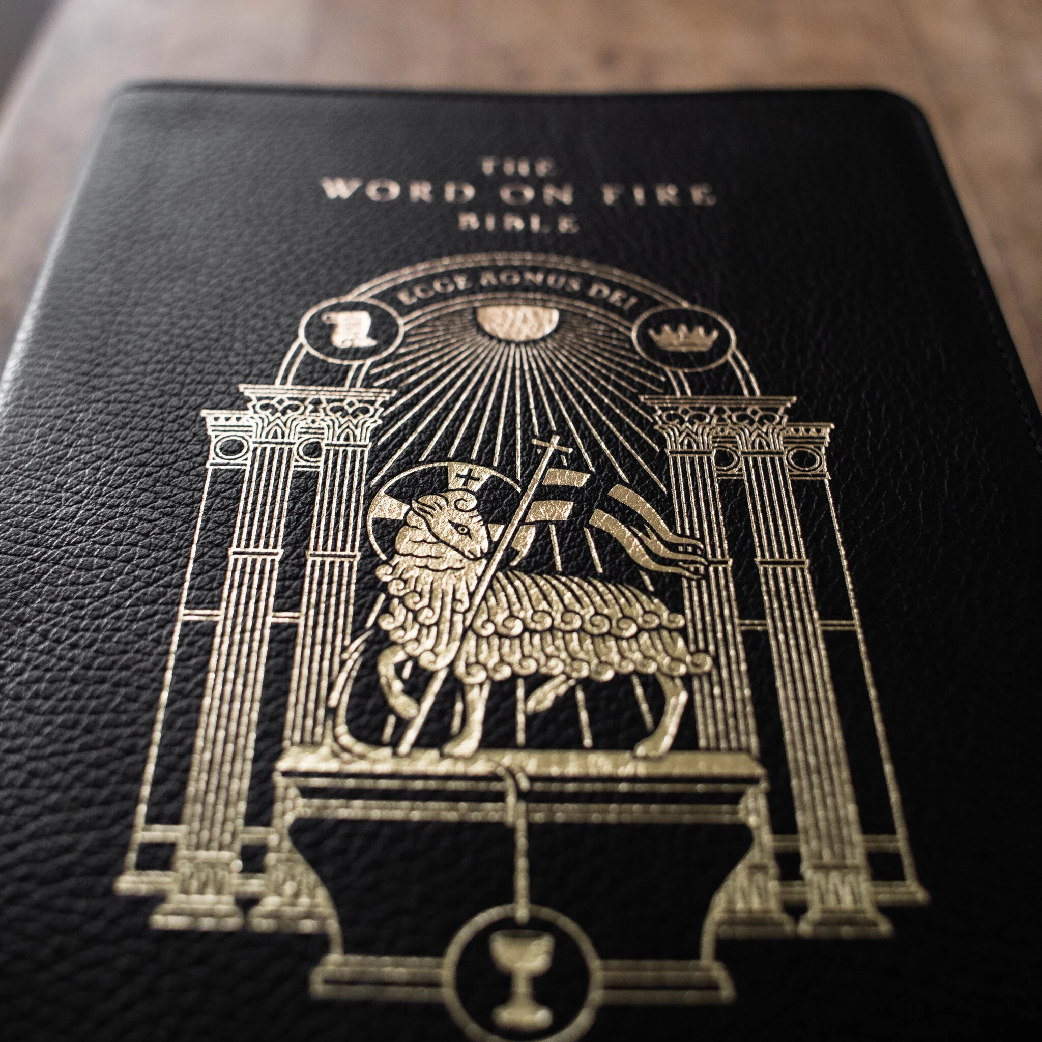 The Word on Fire Bible (Volume II): Acts, Letters and Revelation - Image 4