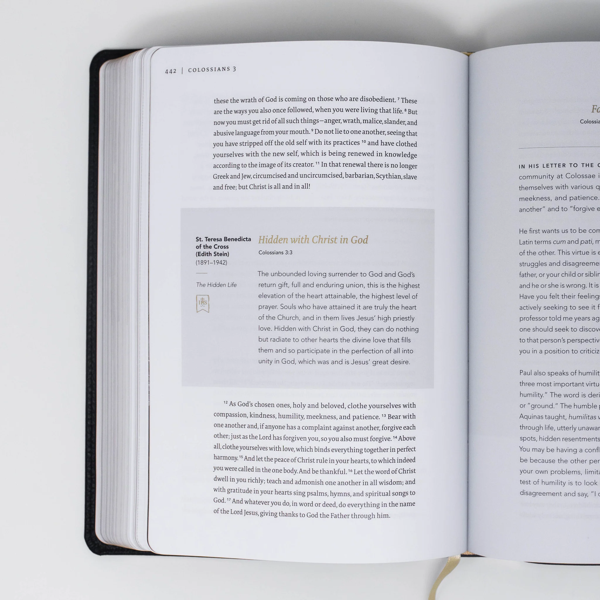 The Word on Fire Bible (Volume II): Acts, Letters and Revelation - Image 6