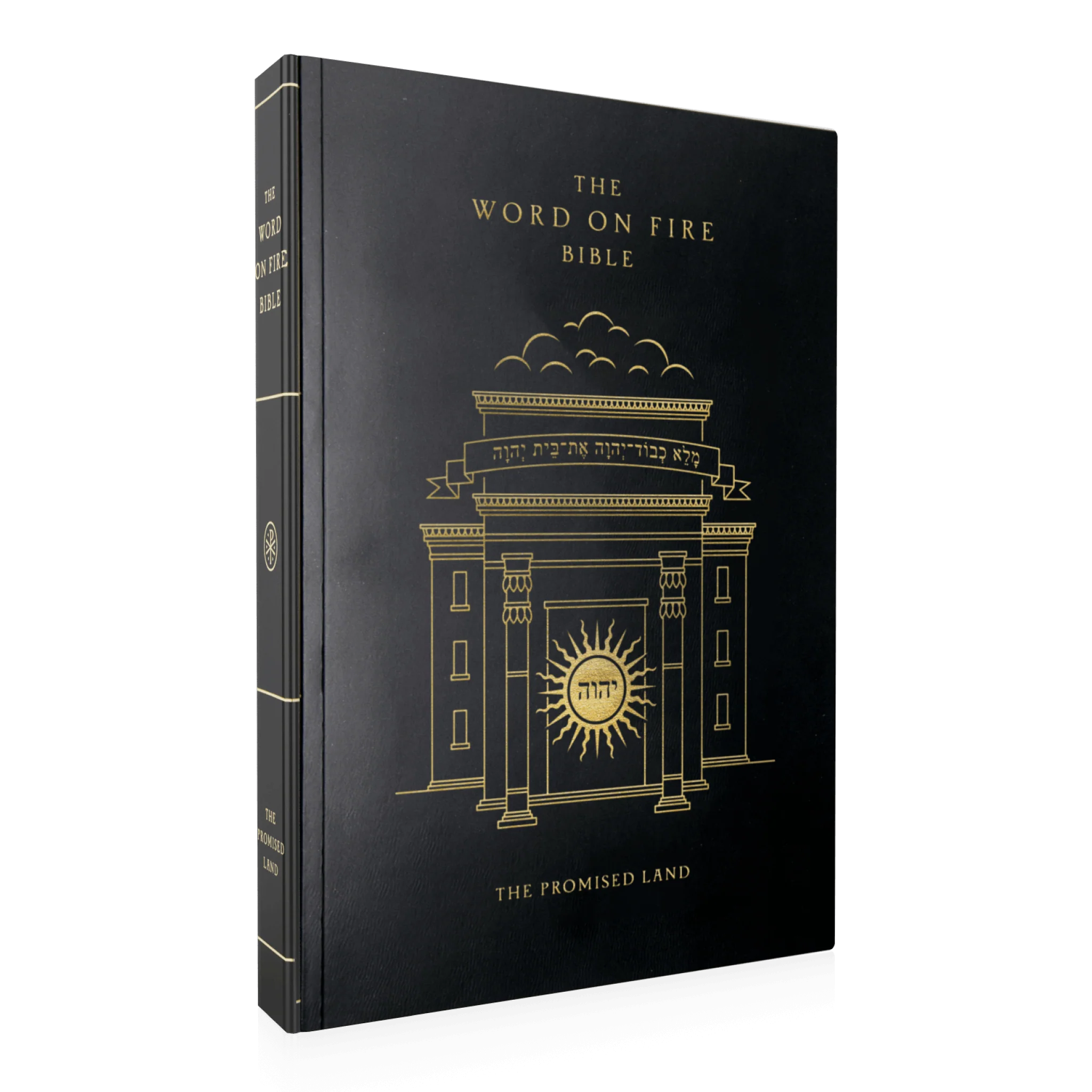 The Word on Fire Bible (Volume IV): The Promised Land - Image 11