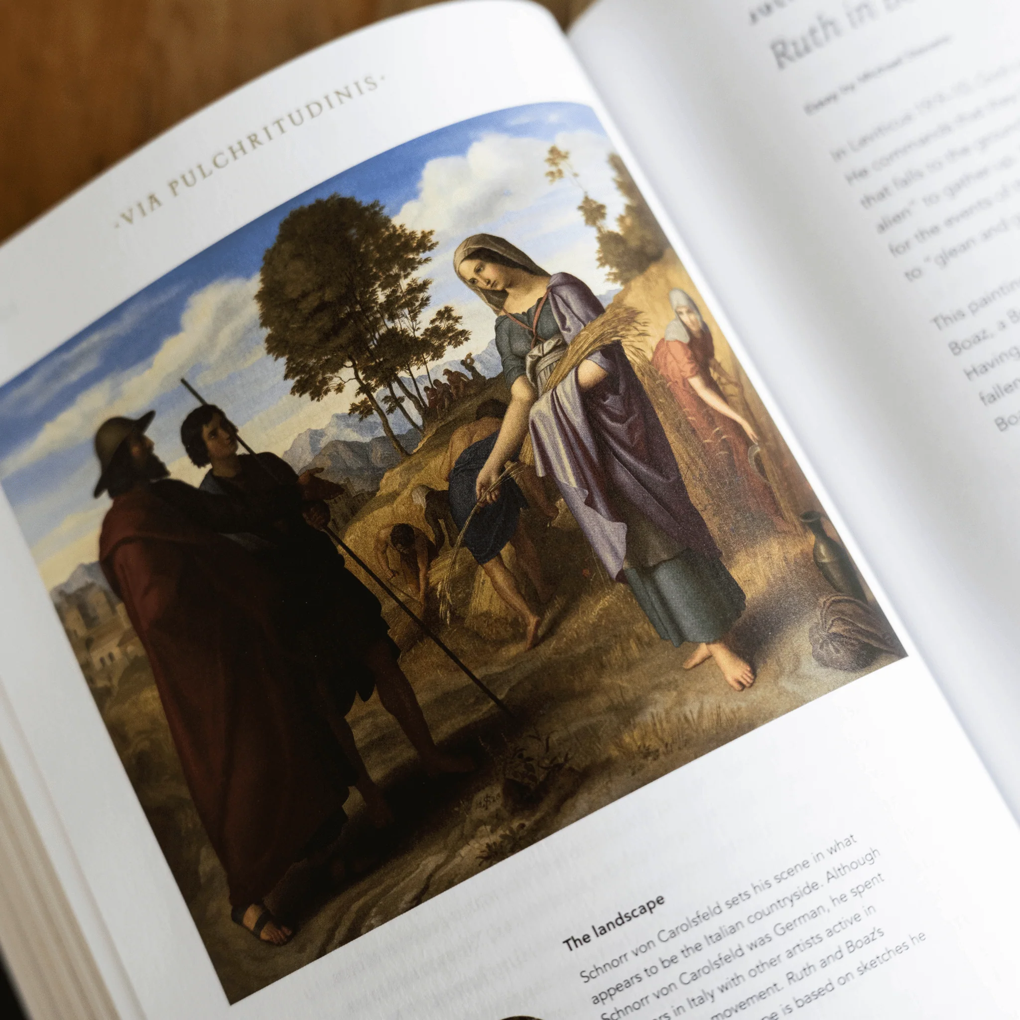 The Word on Fire Bible (Volume IV): The Promised Land - Image 4