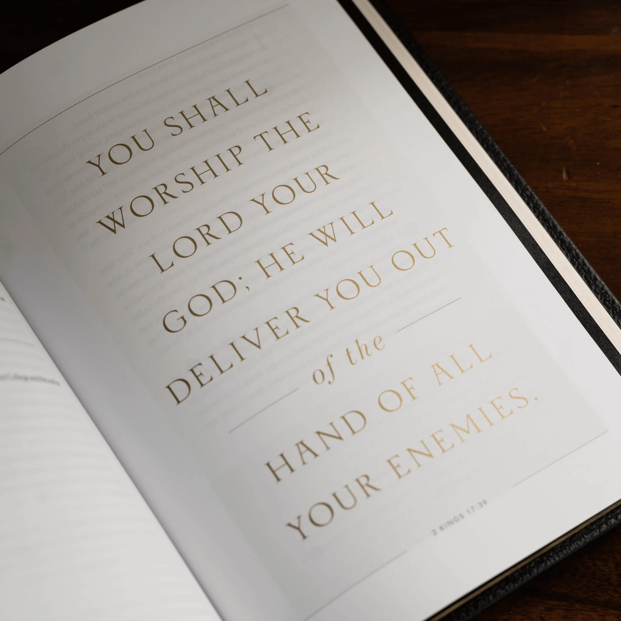 The Word on Fire Bible (Volume IV): The Promised Land - Image 6