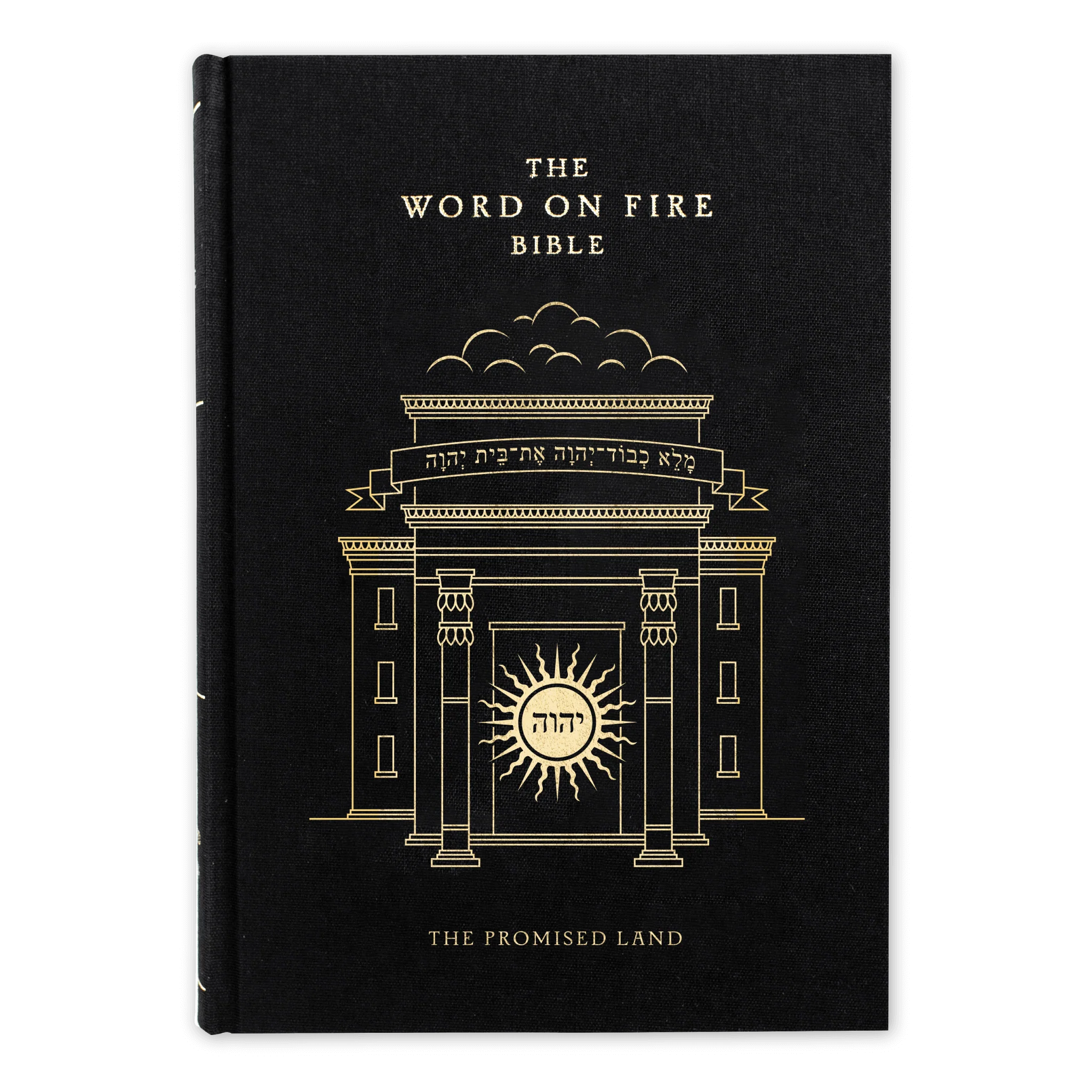 The Word on Fire Bible (Volume IV): The Promised Land - Image 8