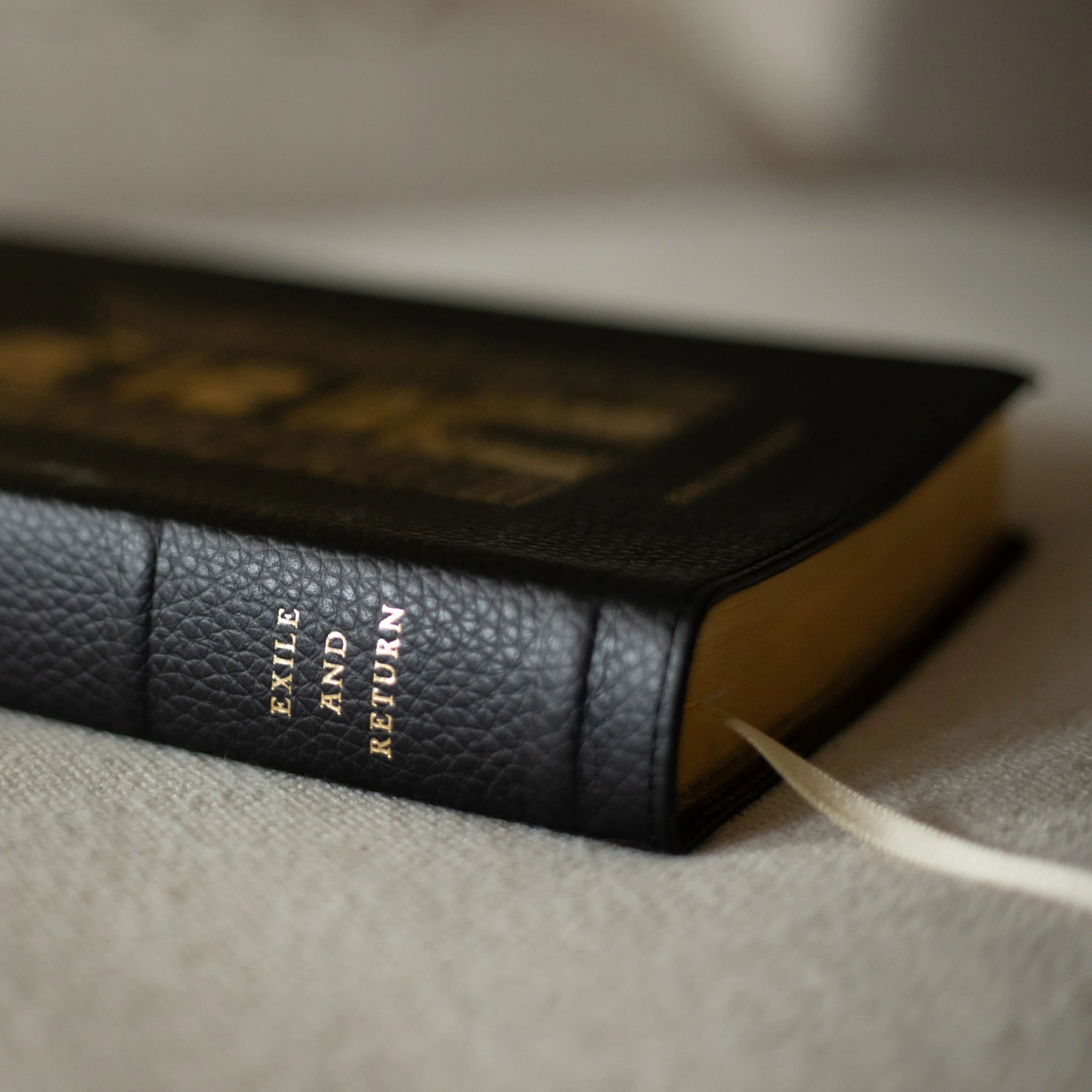 The Word on Fire Bible (Volume V): Exile and Return - Image 10