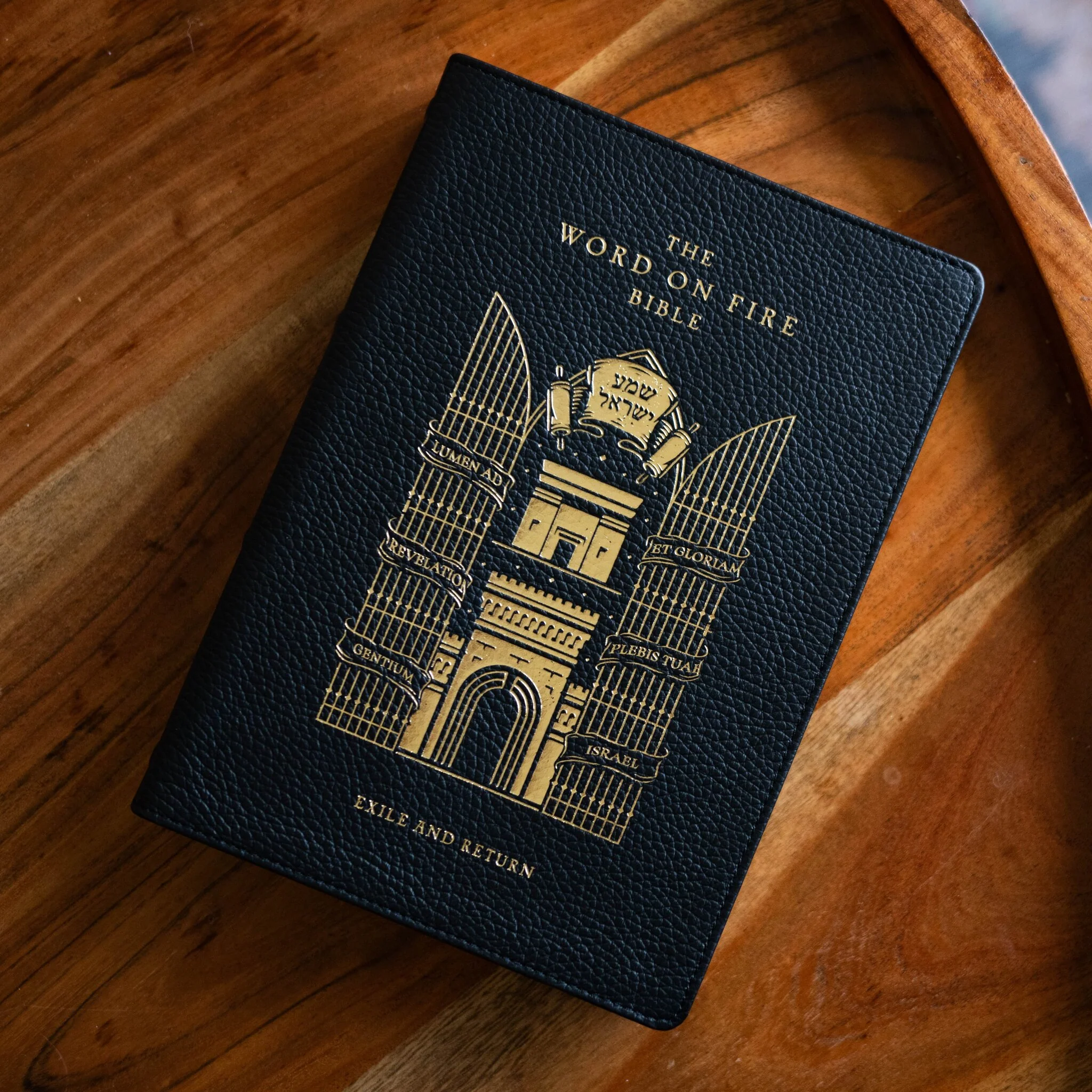 The Word on Fire Bible (Volume V): Exile and Return - Image 11