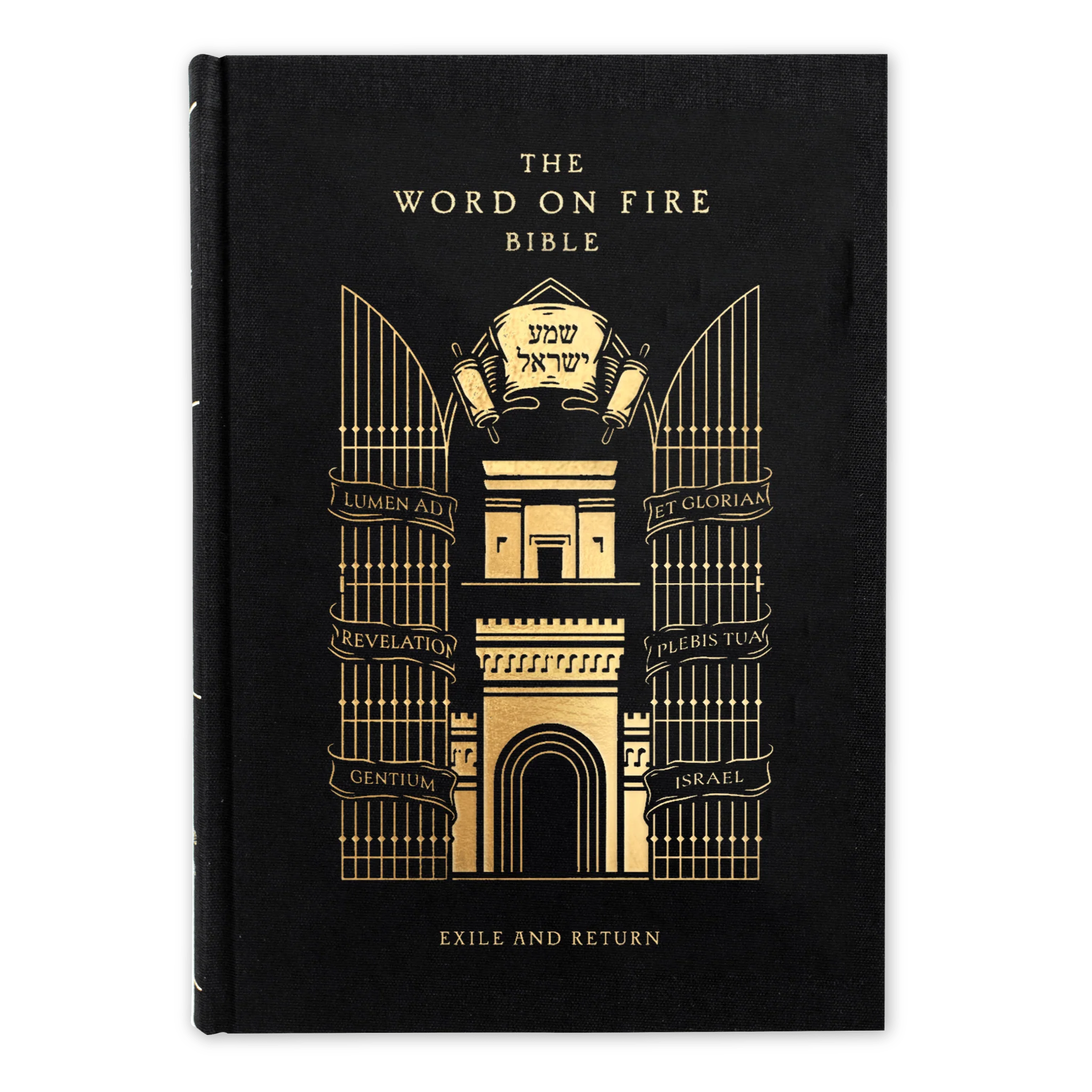 The Word on Fire Bible (Volume V): Exile and Return - Image 12