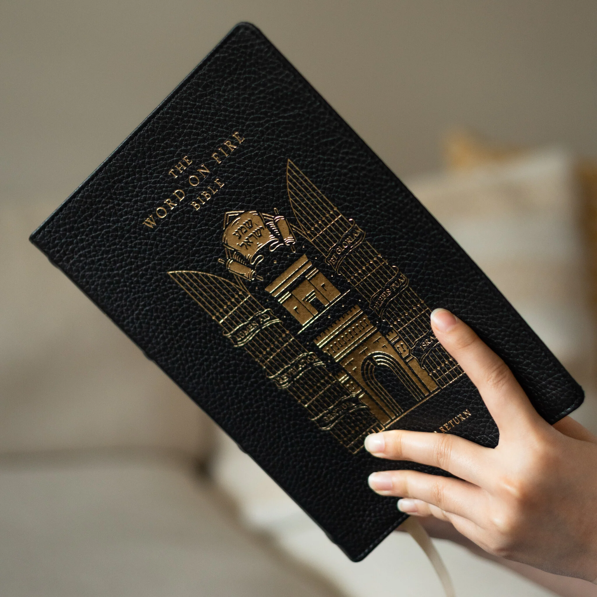 The Word on Fire Bible (Volume V): Exile and Return - Image 3