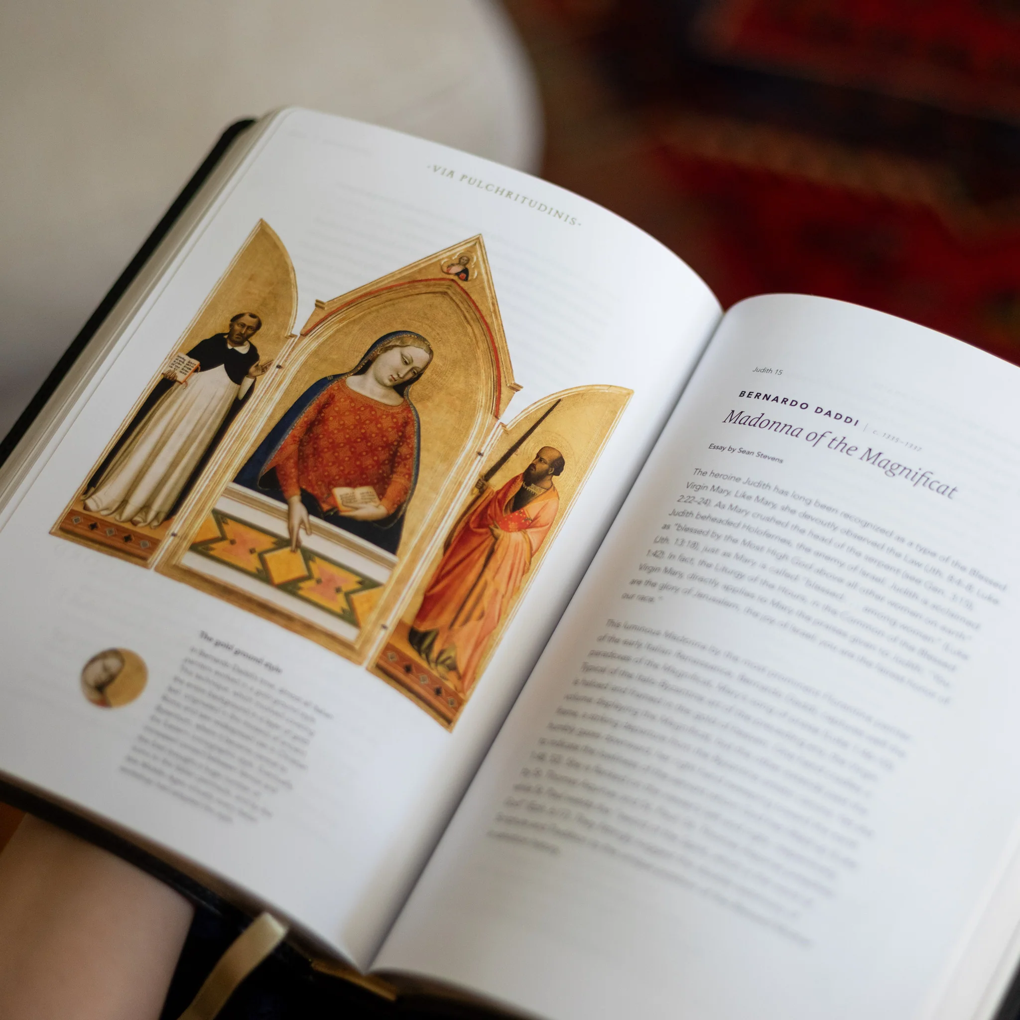 The Word on Fire Bible (Volume V): Exile and Return - Image 6