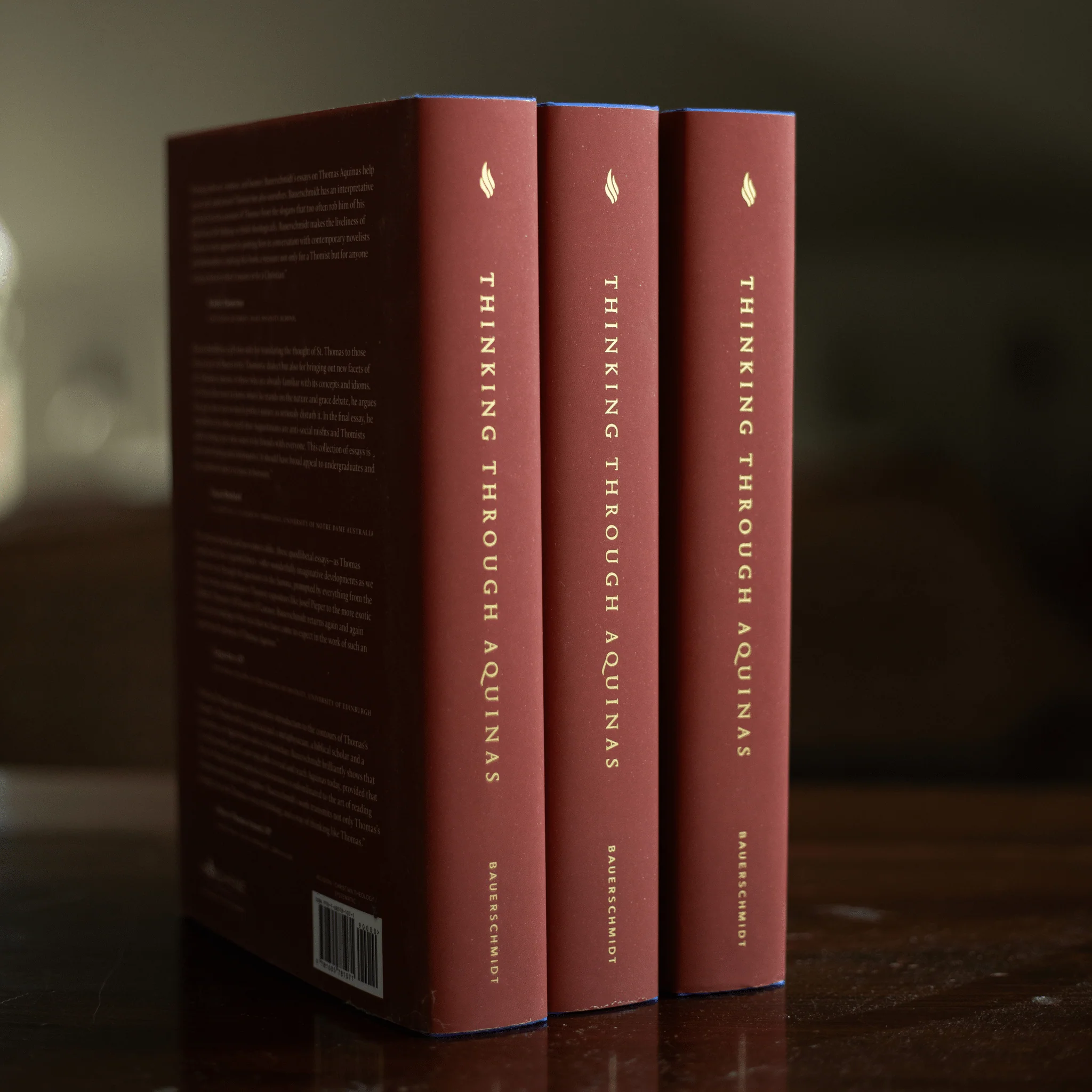 Thinking Through Aquinas - Image 4