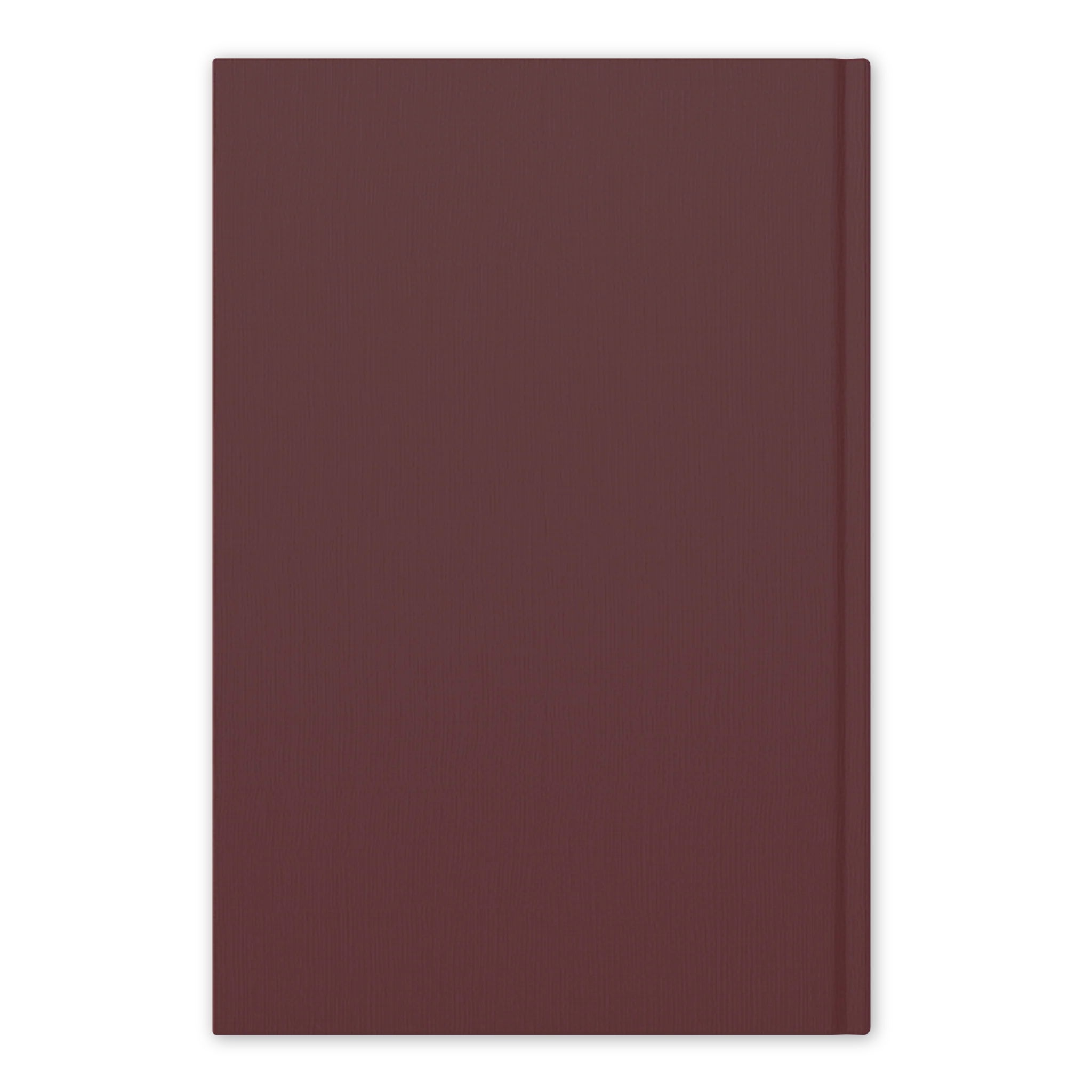 The Word on Fire Vatican II Collection: Constitutions - Image 3