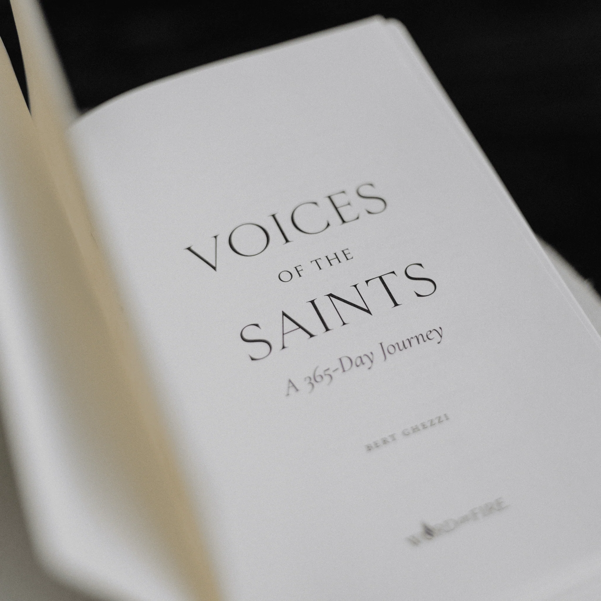 Voices of the Saints: A 365-Day Journey - Image 5